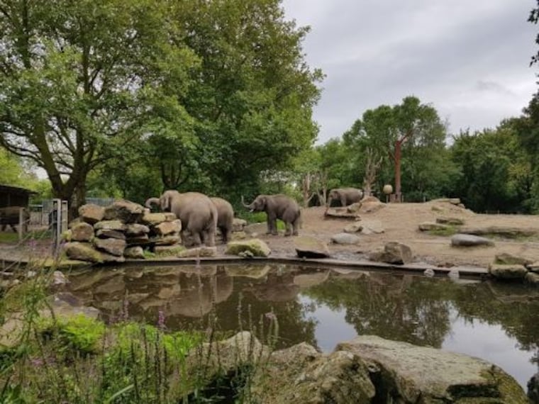 Rotterdam Zoo-4